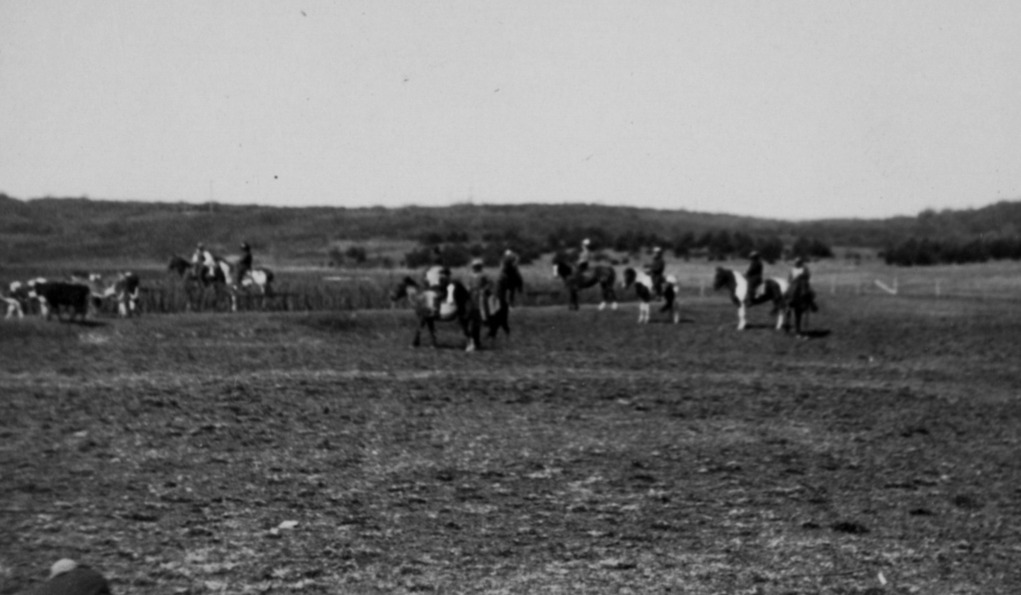 Assorted Images Of Deep Hollow Cattle Ranch